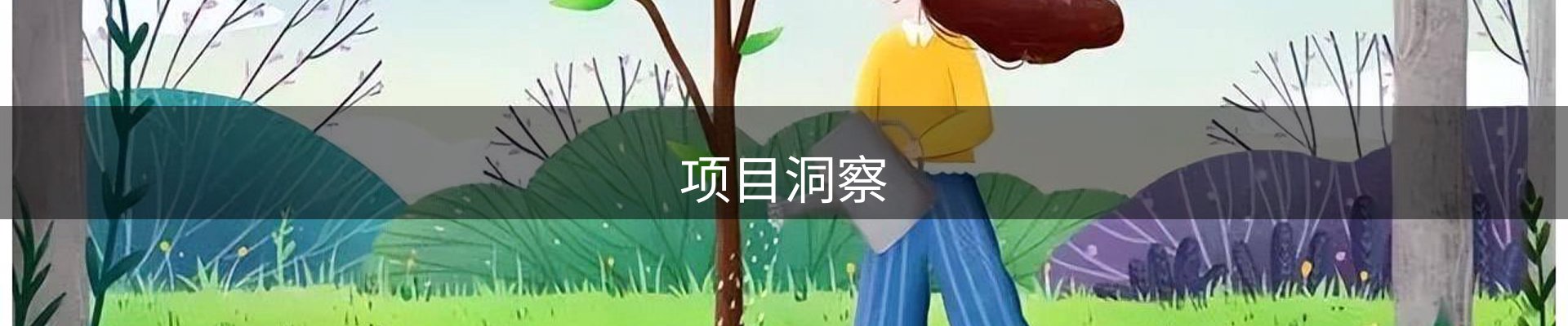 项目洞察